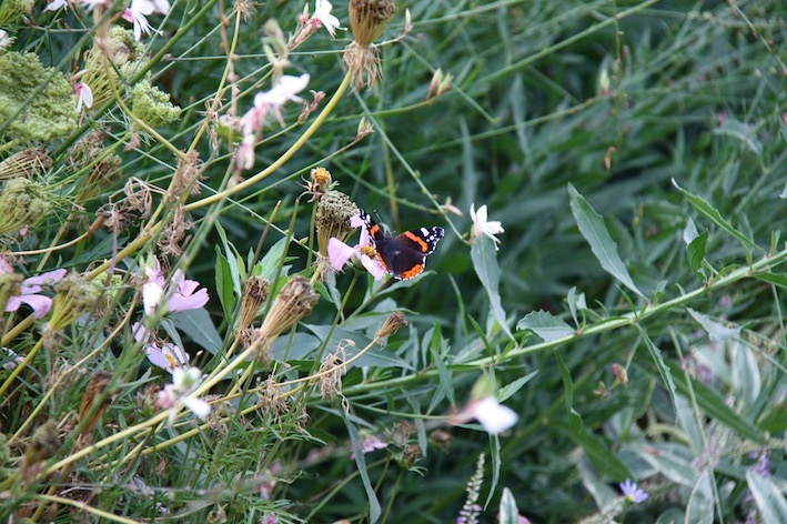 Parc des Buttes-Chaumont, Parigi